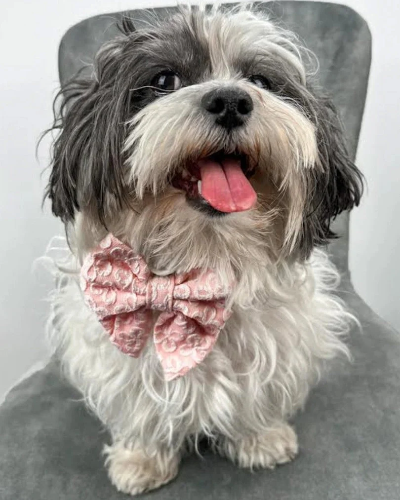 Blush Blossom Premium Bow Tie