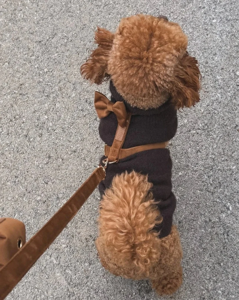 Caramel Bow Tie