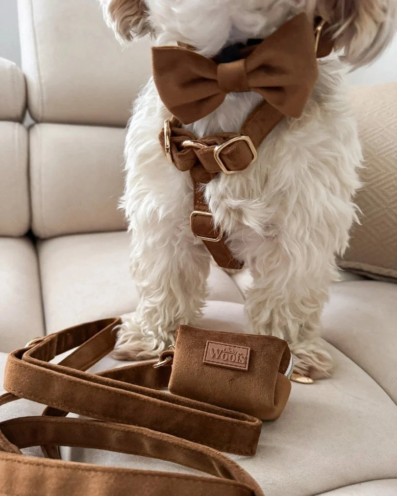 Caramel Bow Tie