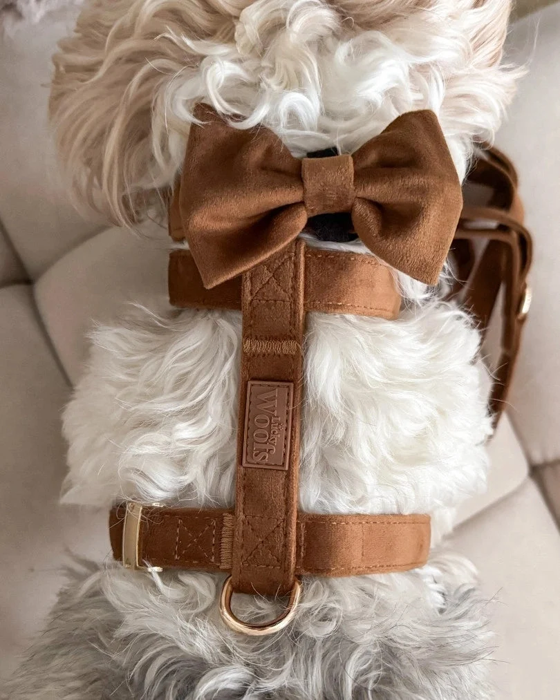 Caramel Bow Tie