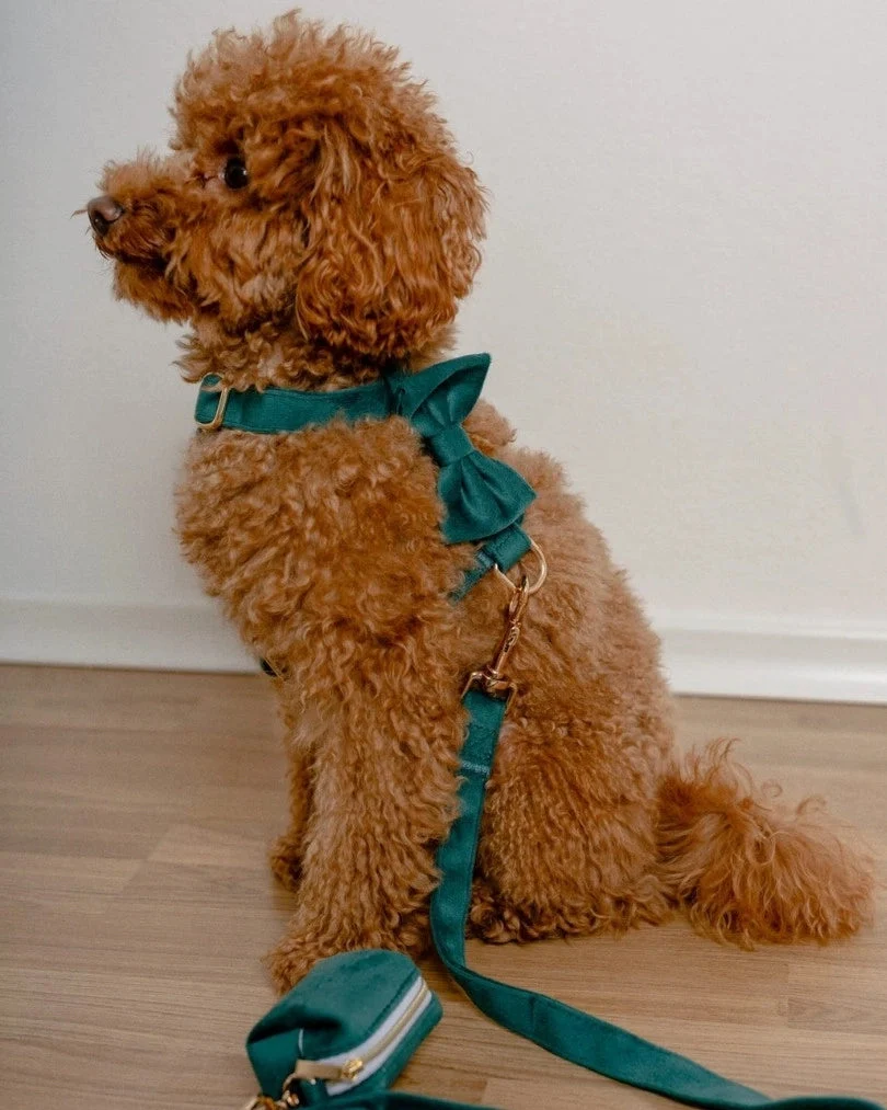 Emerald Bow Tie