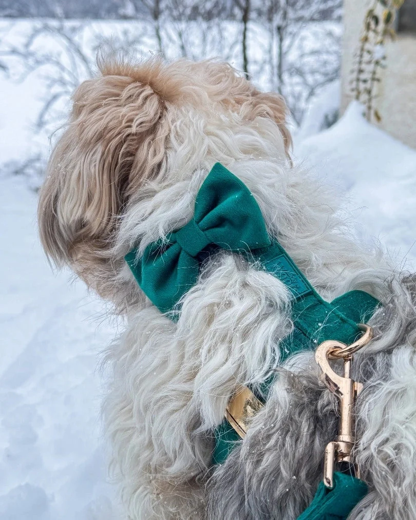 Emerald Bow Tie