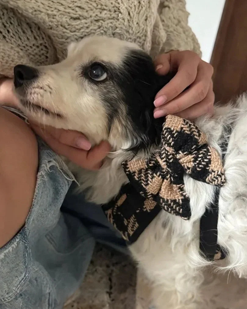 Fluffy Elite Fatal Bow Tie
