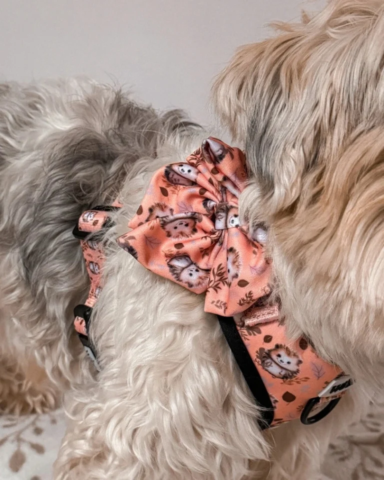 Hedgehog Hug Bow Tie