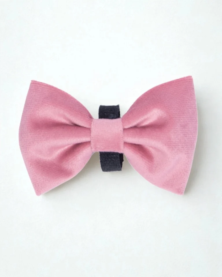 Rosé Bow Tie