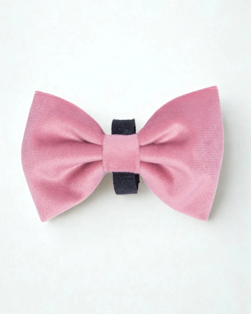 Rosé Bow Tie