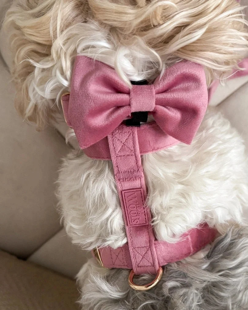Rosé Bow Tie