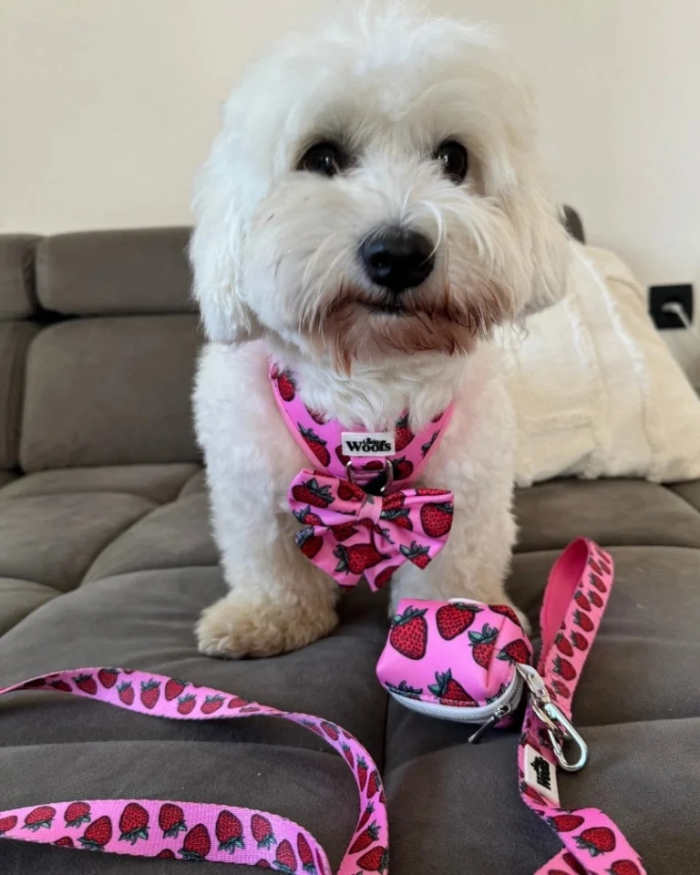 Strawberry Bliss Bow Tie