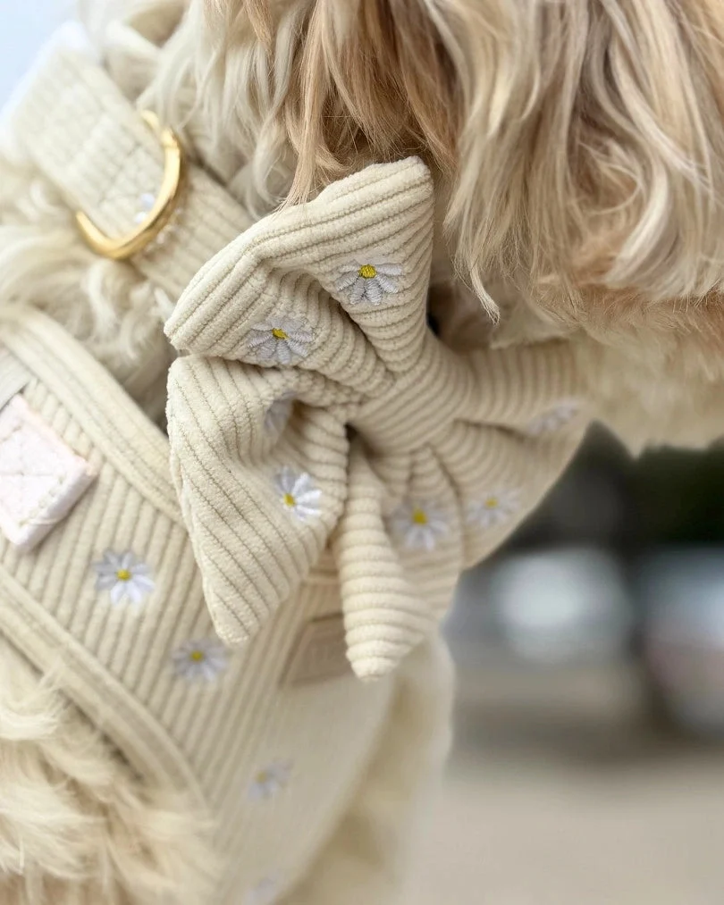 Sunny Bloom Bow Tie