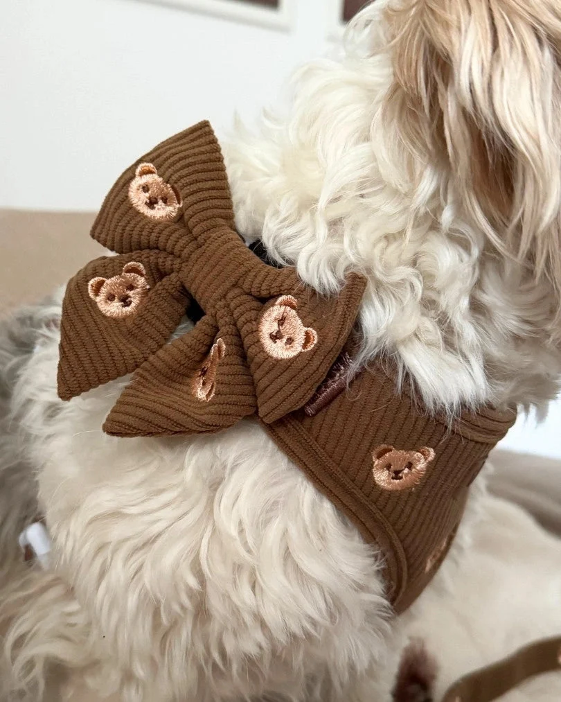 Teddy Bear Bow Tie