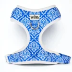 Blue Majesty Adjustable Harness