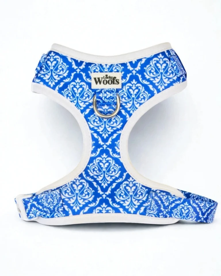 Blue Majesty Adjustable Harness
