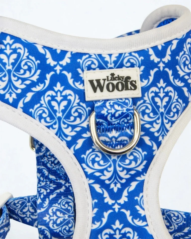 Blue Majesty Adjustable Harness