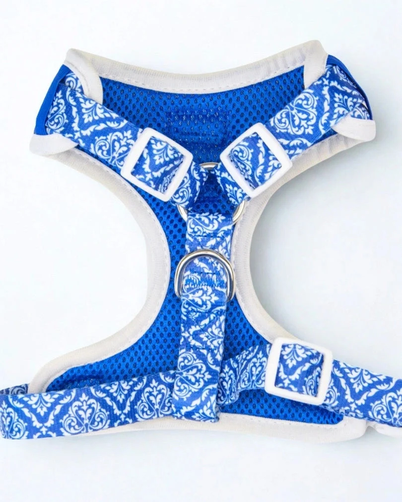 Blue Majesty Adjustable Harness
