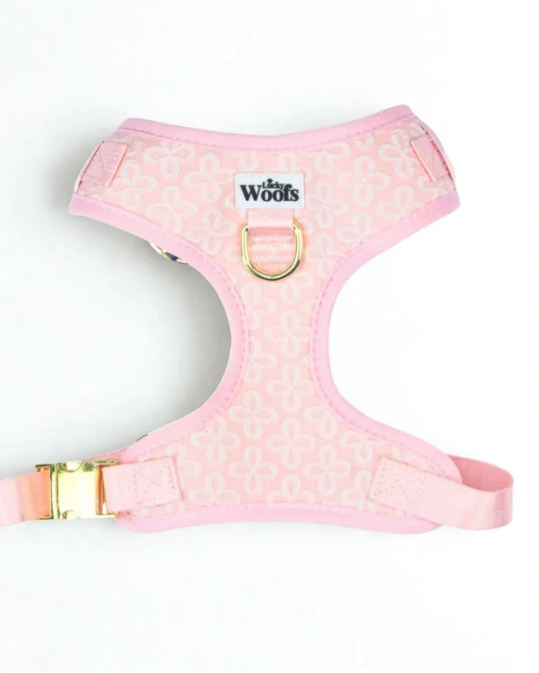 Blush Blossom Premium Adjustable Harness