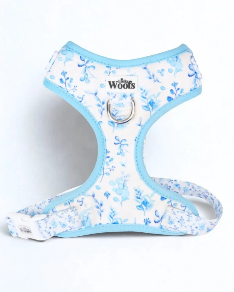 Bright Charm Adjustable Harness