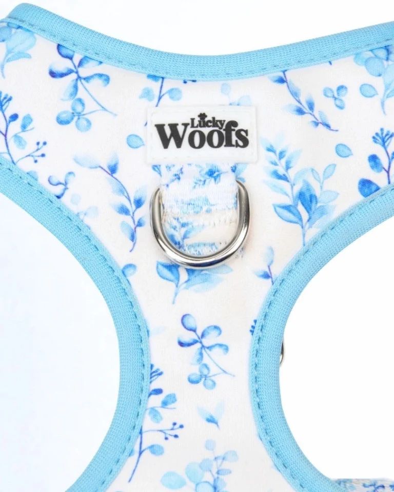 Bright Charm Adjustable Harness