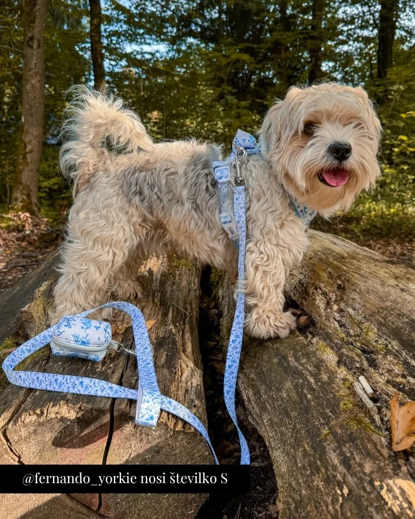 Bright Charm Adjustable Harness