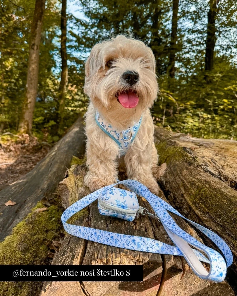 Bright Charm Adjustable Harness
