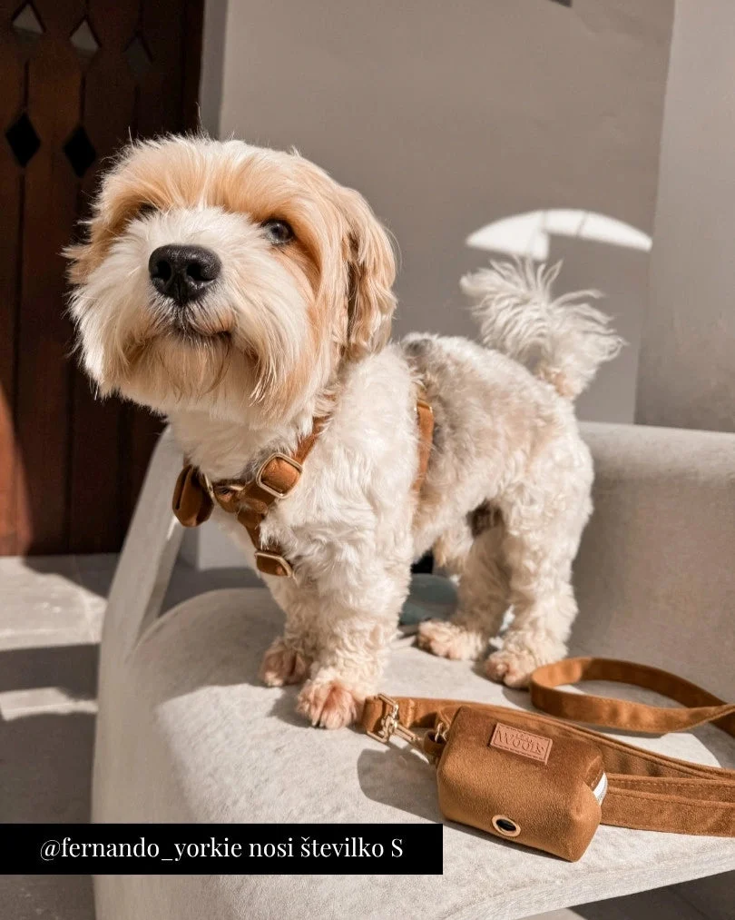 Caramel Adjustable Harness