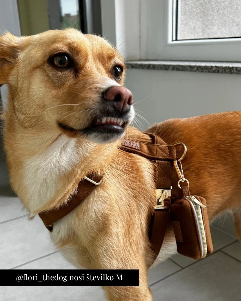 Caramel Adjustable Harness
