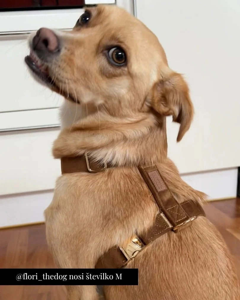 Caramel Adjustable Harness