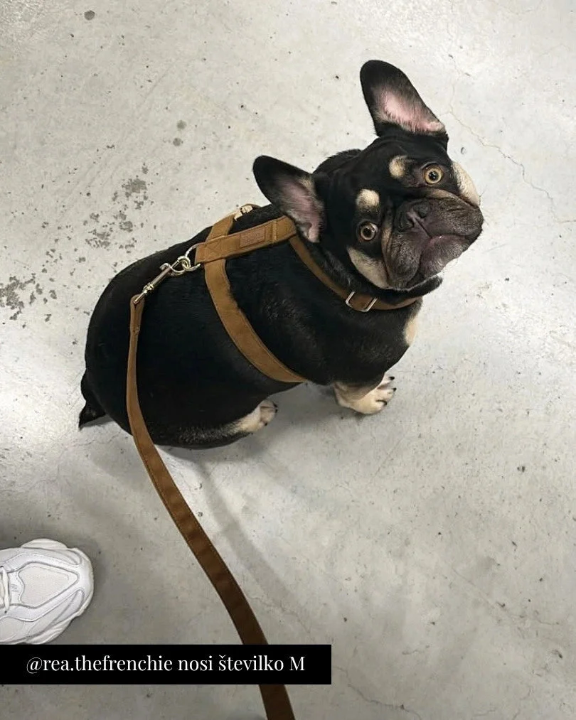 Caramel Adjustable Harness