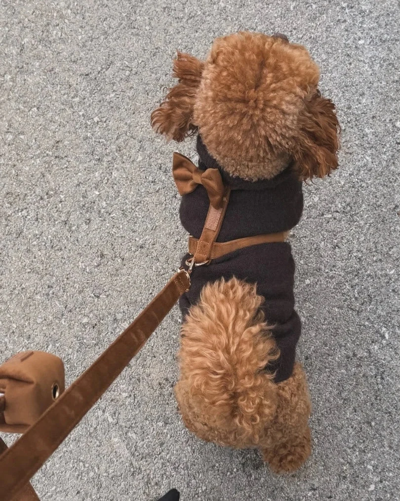 Caramel Adjustable Harness