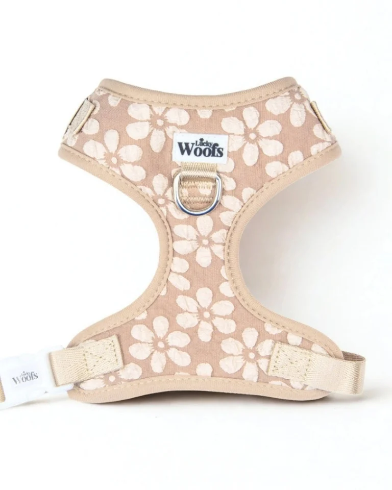 Cocoa Bloom Deluxe Adjustable Harness