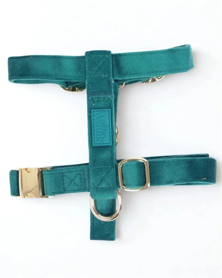 Emerald Adjustable Harness