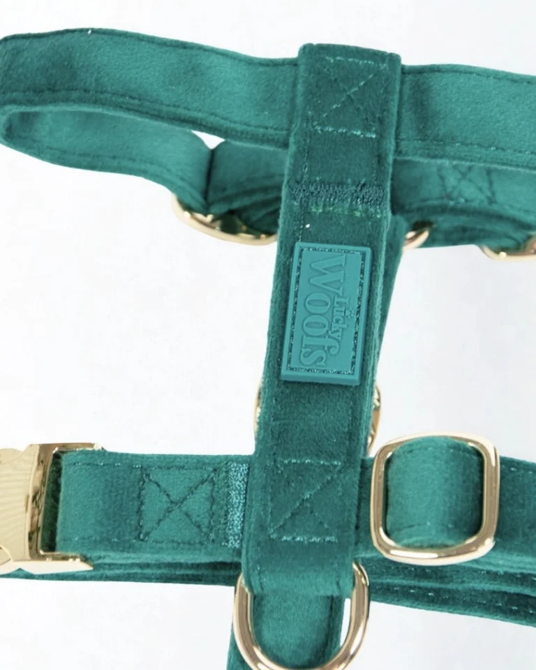 Emerald Adjustable Harness