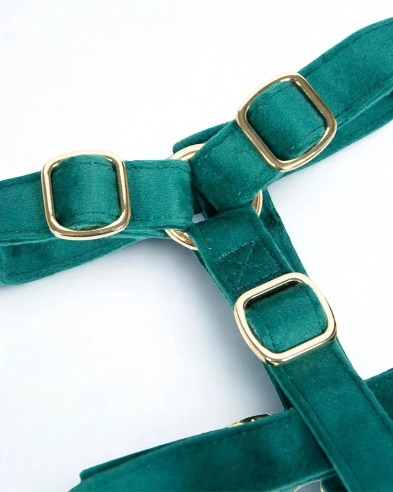 Emerald Adjustable Harness