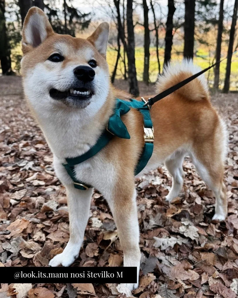 Emerald Adjustable Harness