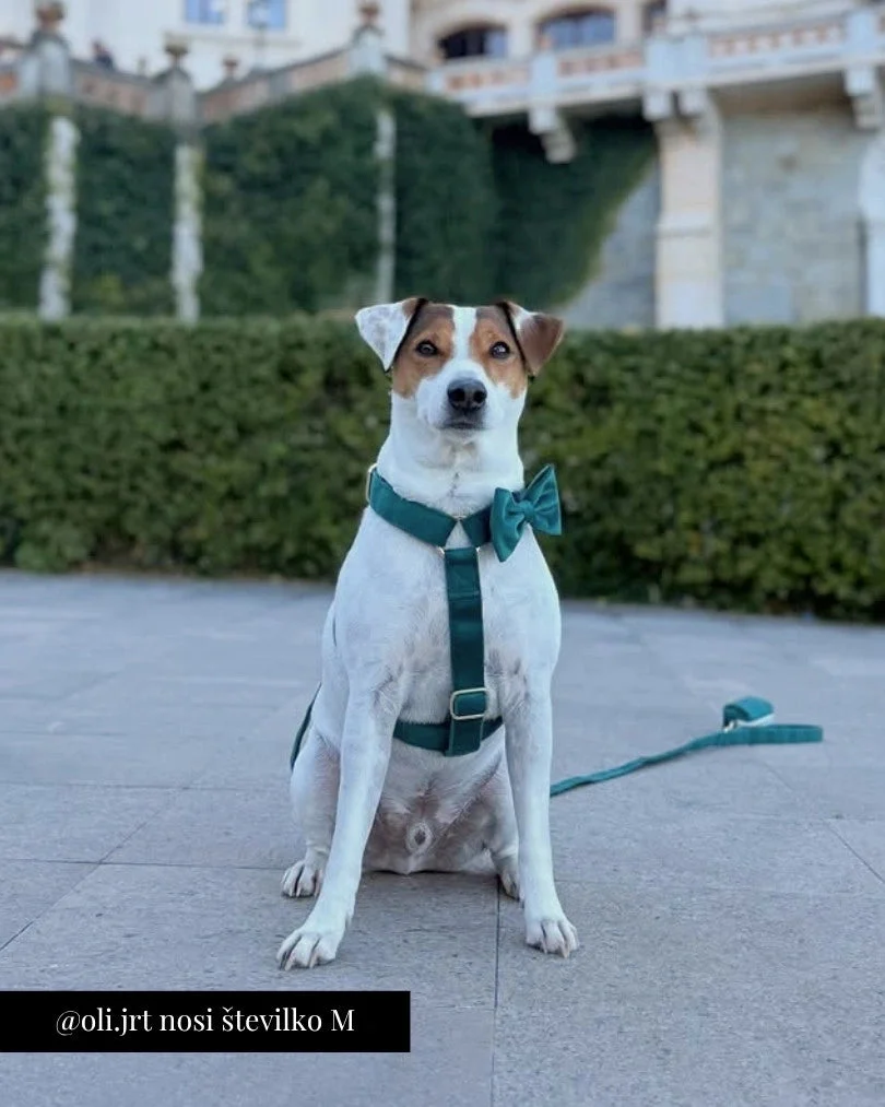 Emerald Adjustable Harness