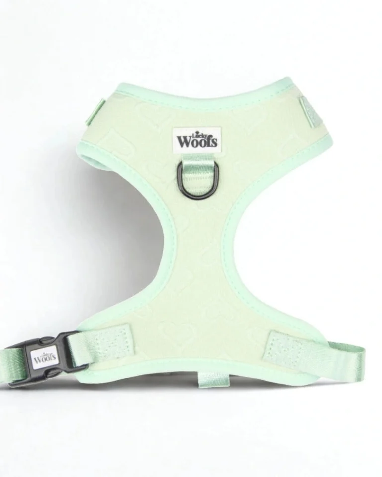 Enchanting Hearts Deluxe Adjustable Harness