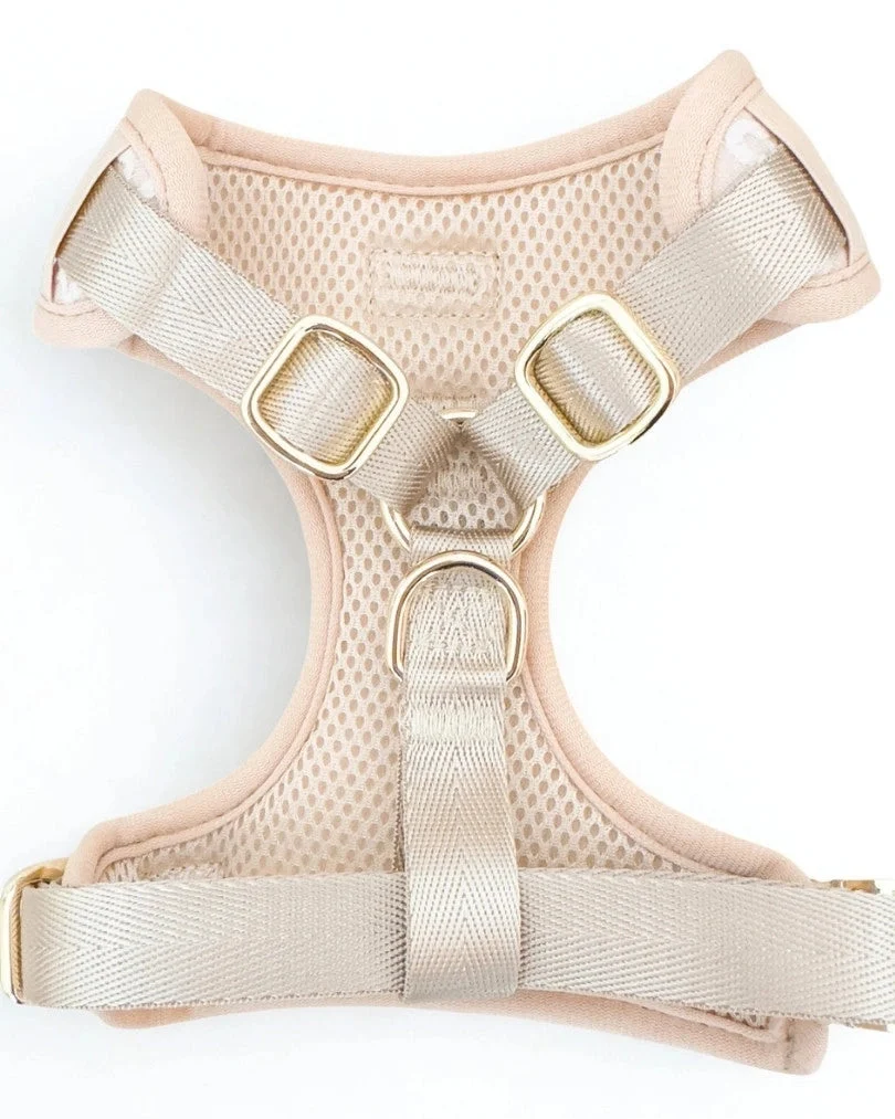 Golden Blossom Premium Adjustable Harness