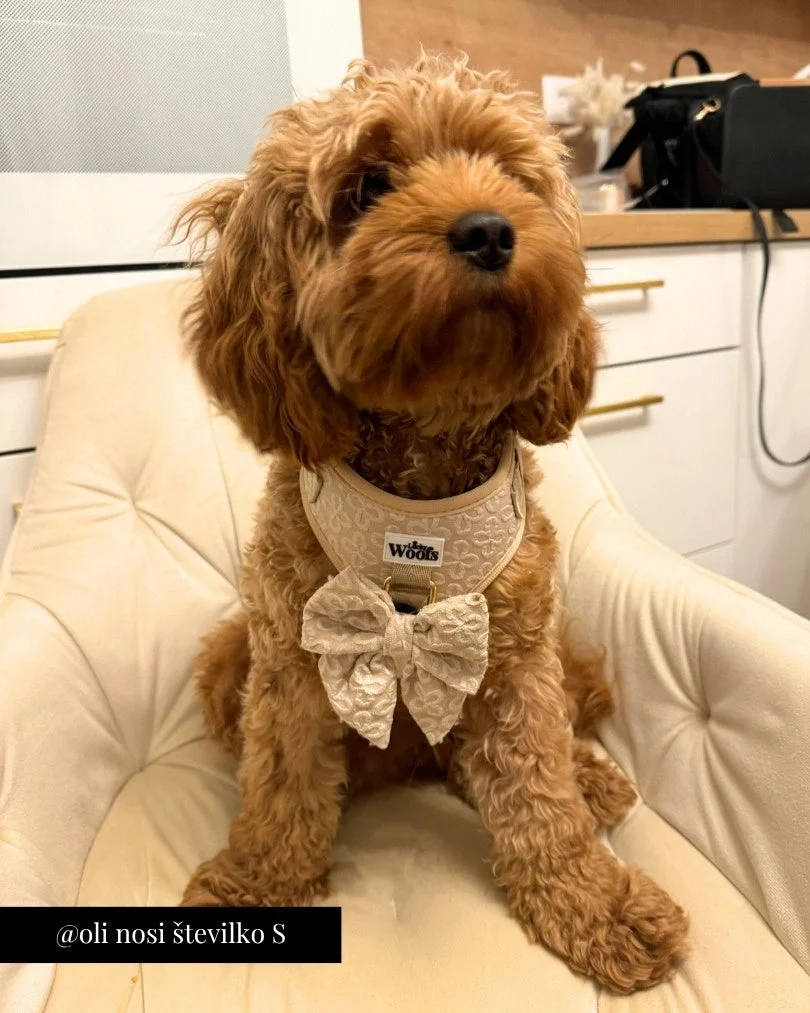Golden Blossom Premium Adjustable Harness
