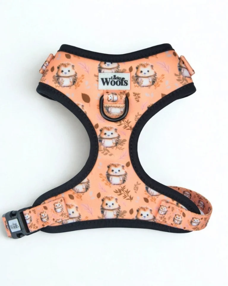 Hedgehog Hug Adjustable Harness