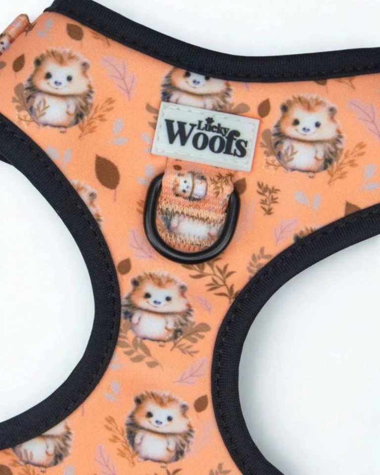 Hedgehog Hug Adjustable Harness