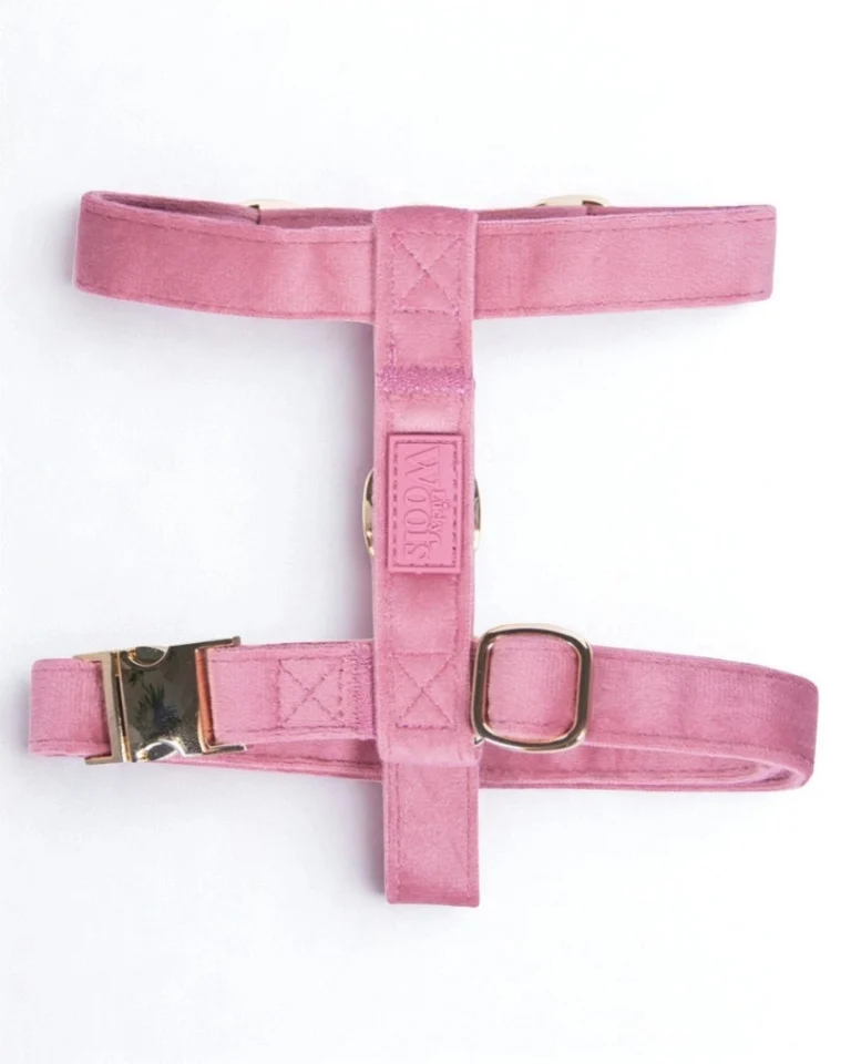 Rosé Adjustable Harness