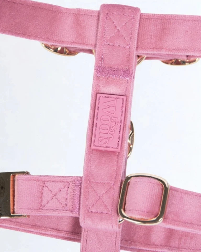 Rosé Adjustable Harness