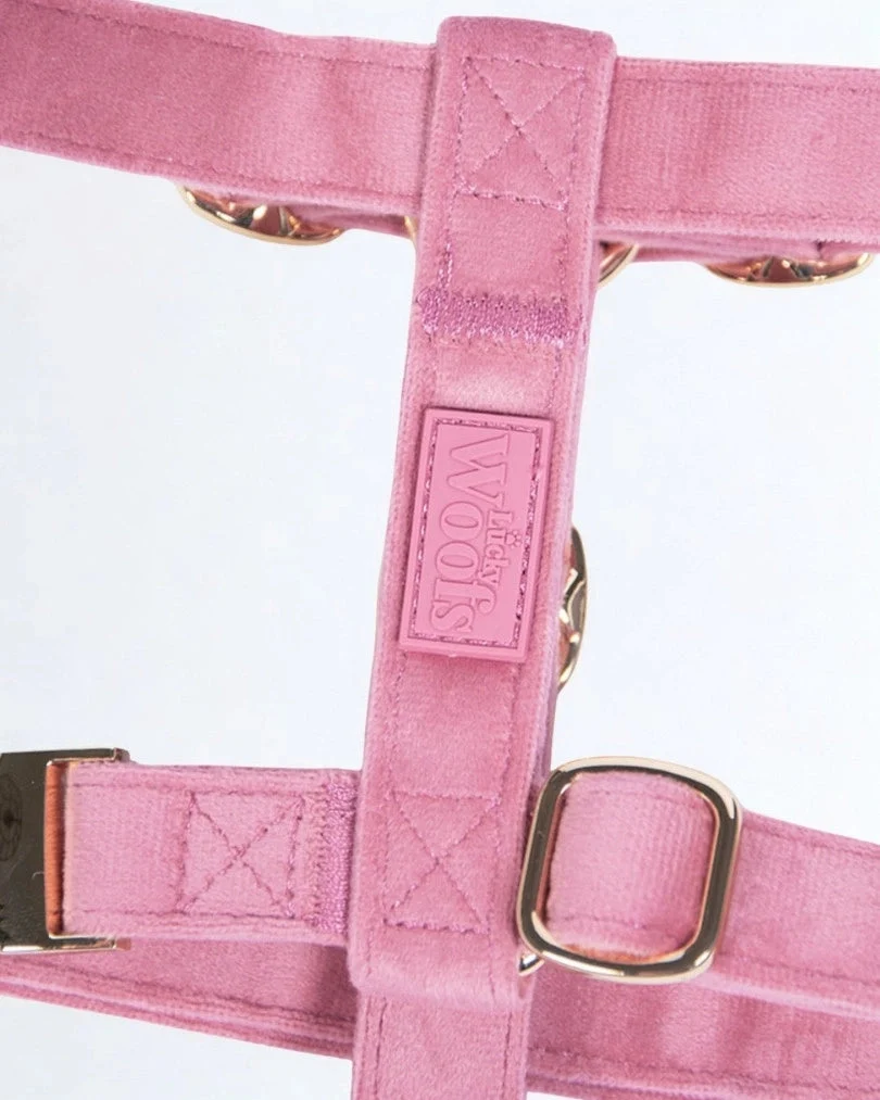 Rosé Adjustable Harness