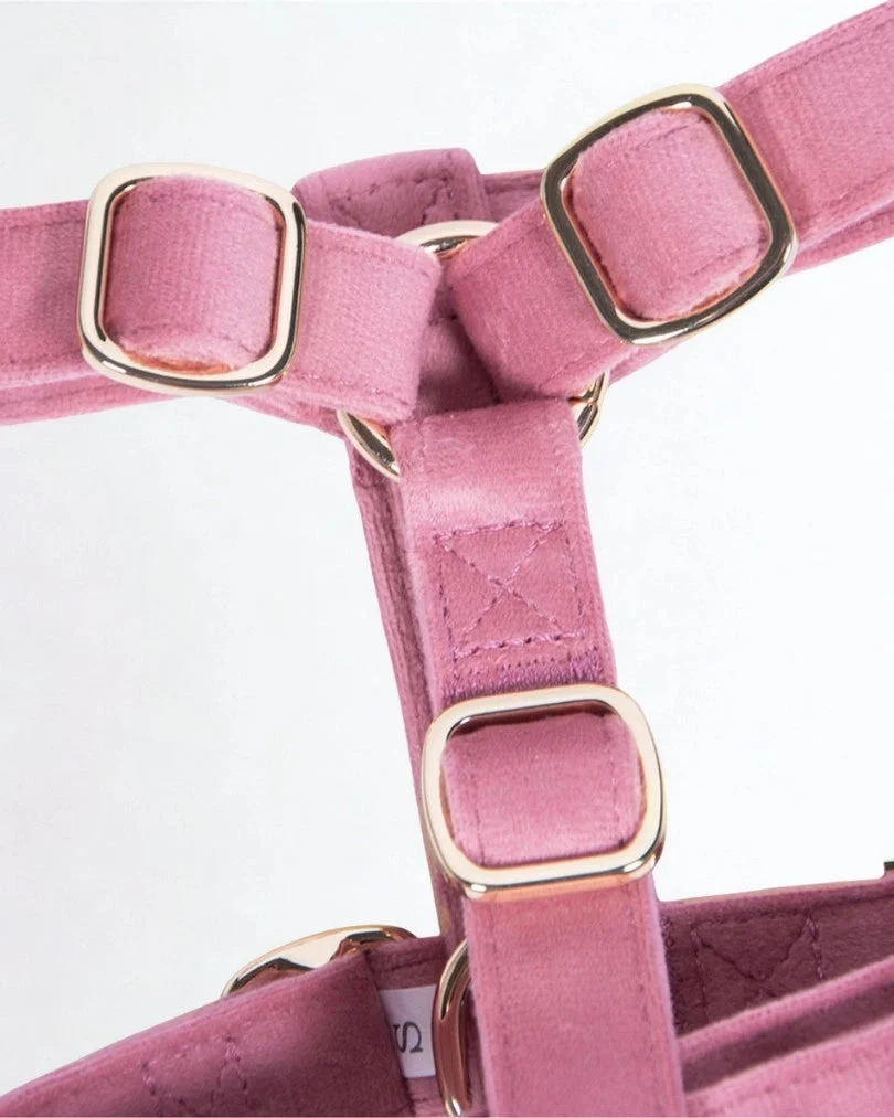 Rosé Adjustable Harness