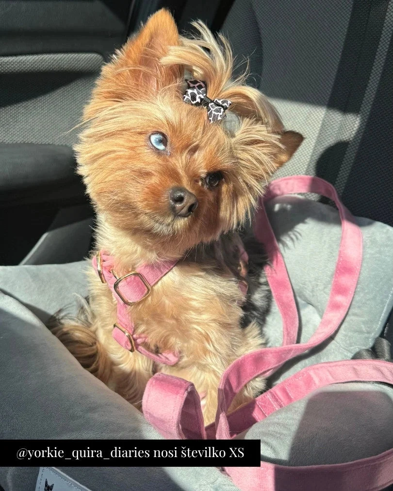 Rosé Adjustable Harness