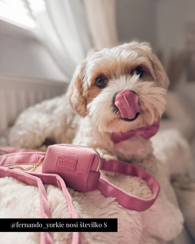 Rosé Adjustable Harness