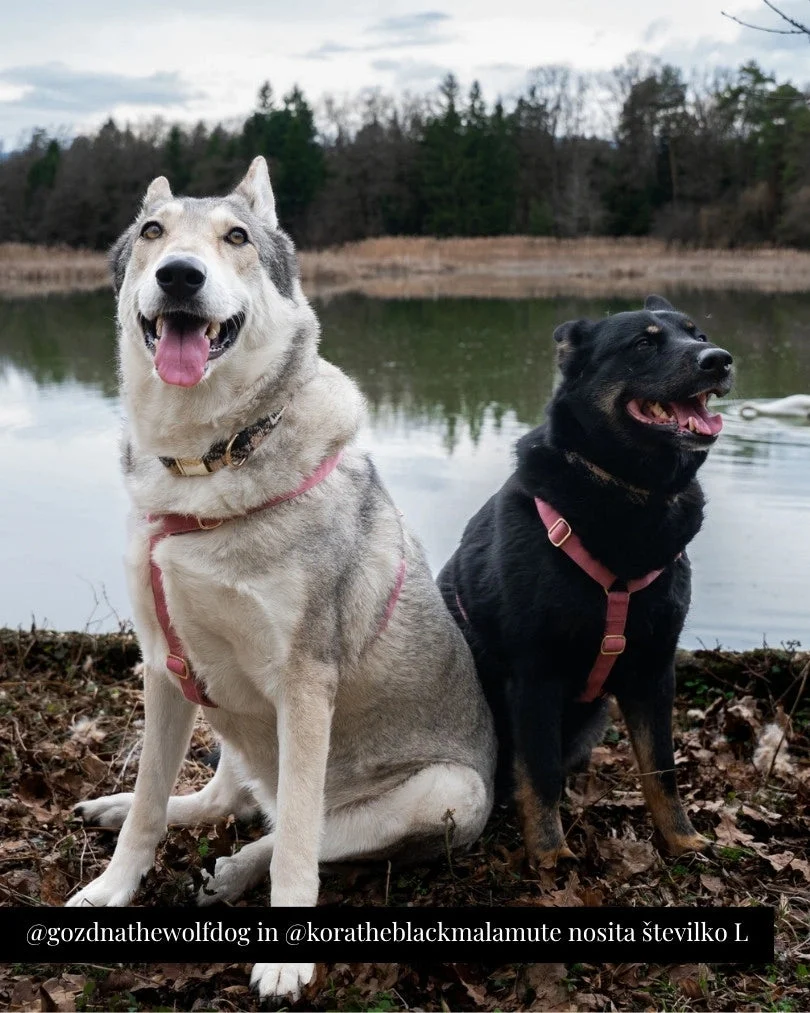 Rosé Adjustable Harness