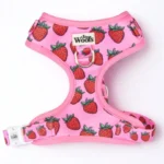 Strawberry Bliss Adjustable Harness