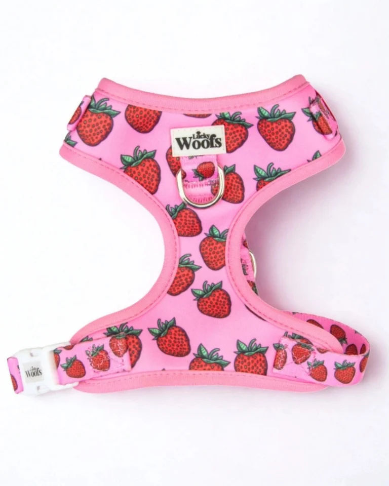 Strawberry Bliss Adjustable Harness