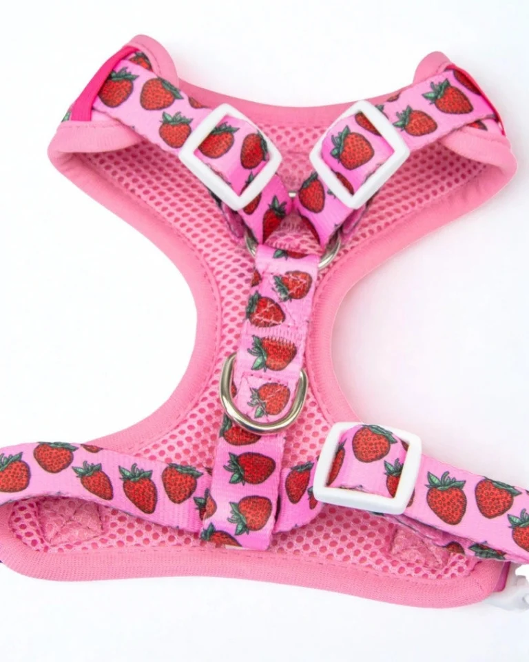 Strawberry Bliss Adjustable Harness