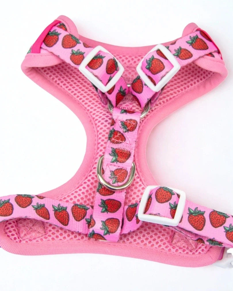 Strawberry Bliss Adjustable Harness